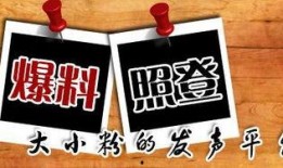 当地新闻爆料,XX事件最新进展及影响揭秘