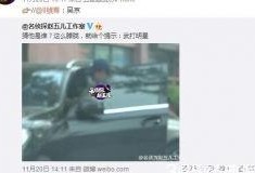 爆料谢楠出轨事件视频大全,事件真相与舆论风波全解析