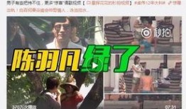私家侦探重大爆料视频在线观看,重大爆料视频在线观看，真相尽在此处
